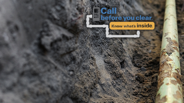 WB CallBeforeYouClear 1clmn module 680x393