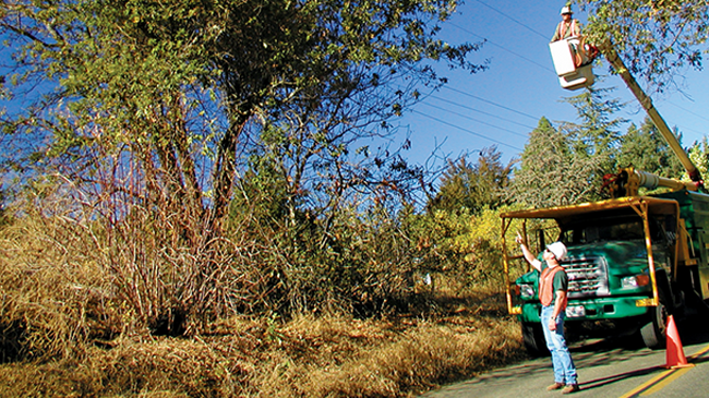 WB look up and live 1clmn module 680x393